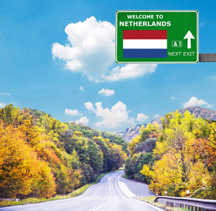 荷兰路标志反对清澈的天空
