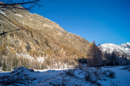 在雪地里山风景