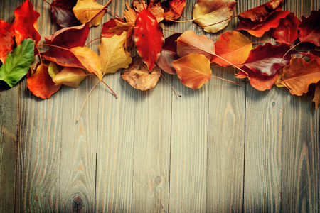 色彩鲜艳的秋叶在木板上