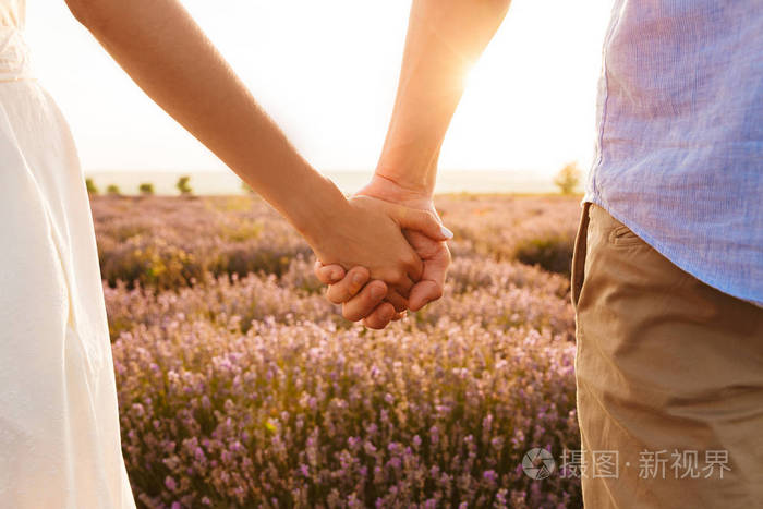 从年轻夫妇男子和妇女的背部裁剪图像在薰衣草野外散步时牵手