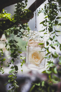 婚礼装饰与玫瑰内的玻璃瓶挂在树枝上常春藤