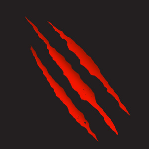 红色的血爪深划痕矢量图照片