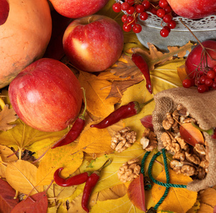 秋季收获水果和蔬菜上落黄叶, 坚果, 苹果, 南瓜, 罗恩和胡椒。秋季最佳背景