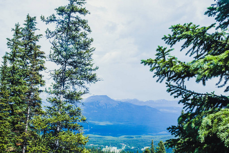 徒步旅行在夏天 Anature 岩石山, 路易斯湖, 班夫, 加拿大