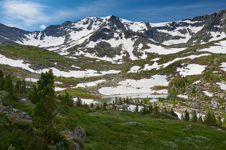 美丽的夏日风景，阿尔泰山俄罗斯