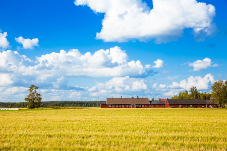 红色的农舍在农村芬兰