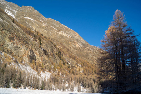 在雪地里山风景