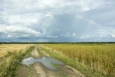 在泥土路上的水坑, 穿过田野和天空中的雨云