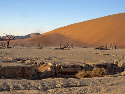 纳米比亚 Deadvlei 的魔法景观