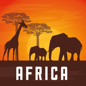 关于非洲设计平面插图