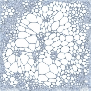 Voronoi 抽象白色图案背景上。3d 渲染