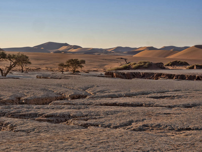 纳米比亚 Deadvlei 的魔法景观