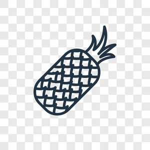 菠萝矢量图标在透明背景下分离, 菠萝徽标概念
