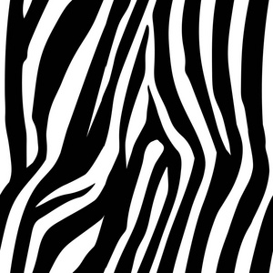 斑马版画, 动物皮肤, 虎条纹, 抽象图案, 线条背景, 织物.