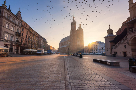 广场在克拉科夫, 飞鸽在圣玛丽教堂 Mariacki 大教堂 日出, 清晨的城市风貌, 波兰, 欧洲