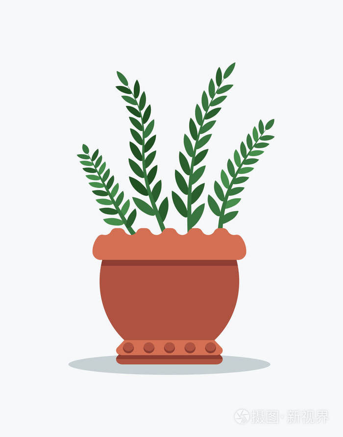 迷迭香在花盆里种植矢量插图