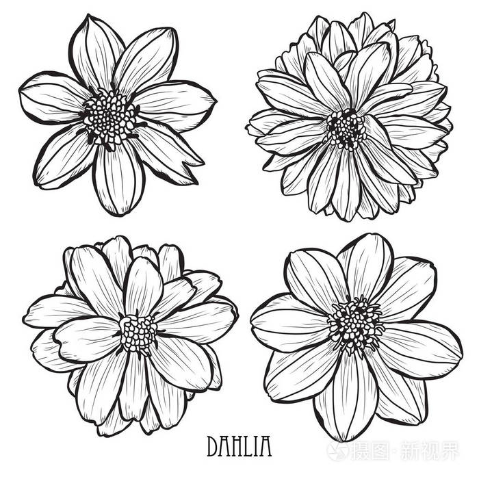 可用于贺卡,请柬,横幅,海报,平面设计.线条艺术风格的花卉背景