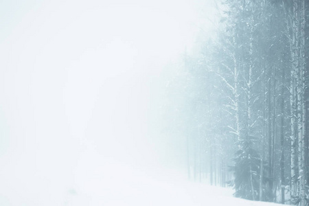 冬日的雪与雾, 冬日寂寞的风景