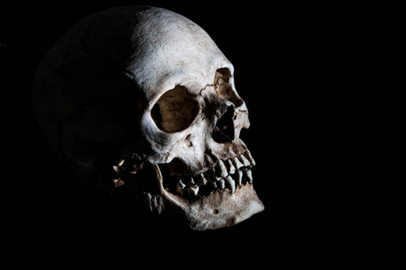 人骨架颅骨孤立于黑色