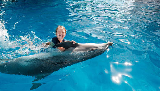 女孩与海豚图片