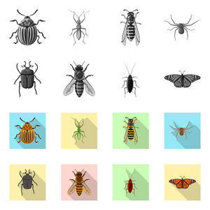 昆虫和飞行标志的向量例证。昆虫和元素存量矢量图的采集