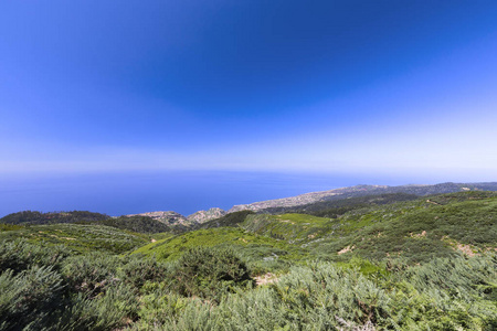 葡萄牙马德拉干旱植物 Calheta 的广角视角