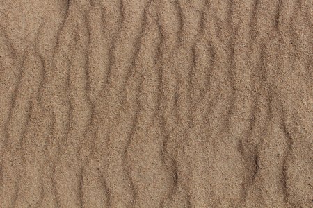 背景海牧群沙子
