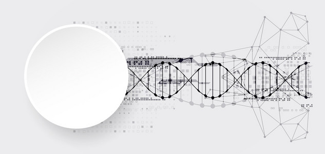 与 Dna 分子背景模板