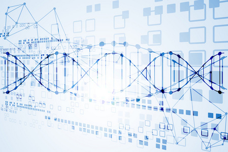 与 Dna 分子背景模板