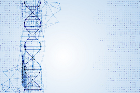 与 Dna 分子背景模板