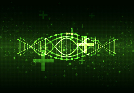 与 Dna 分子背景模板