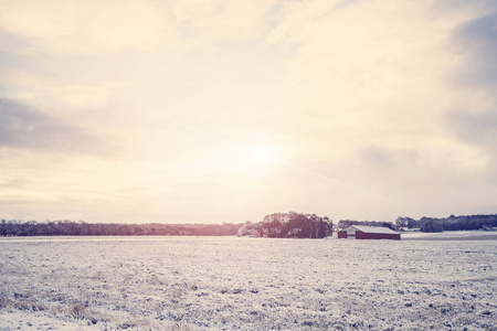 农村冬季景观与红色谷仓在田野上覆盖着雪在日出