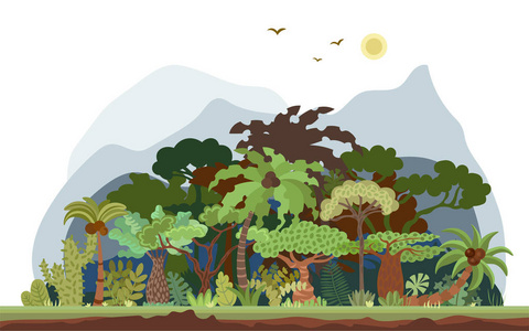 以棕榈树和其他热带树木为载体的热带雨林景观.热带森林全景图.