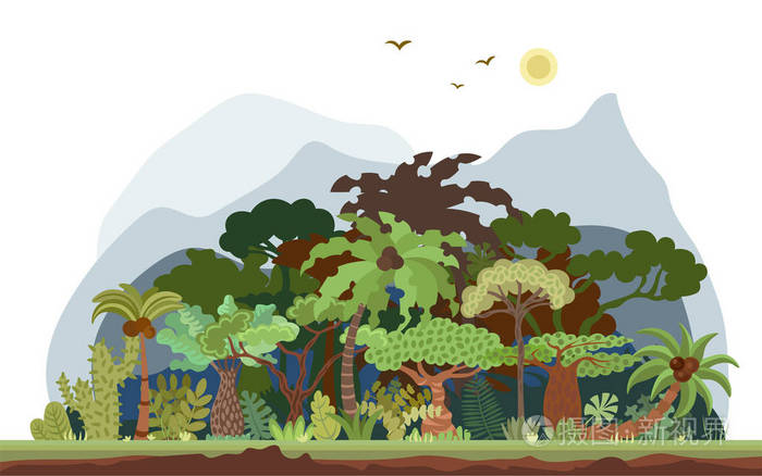 以棕榈树和其他热带树木为载体的热带雨林景观.热带森林全景图.