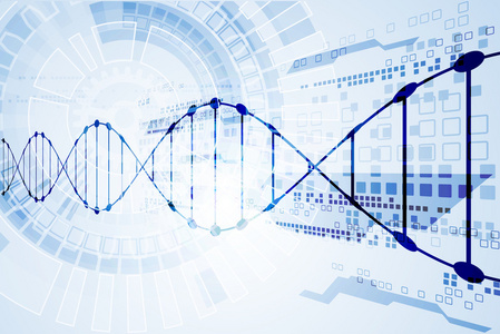 与 Dna 分子背景模板