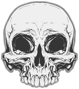 灰色的头骨图片