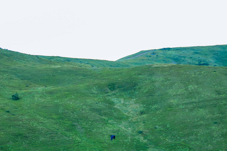 乌克兰夏季绿色的山脉。天空越过群山。乘吉普车旅行时的大气景观。越野远征。Fluing 鹰