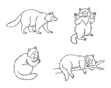 王者吕布的素描小浣熊在概要向量例证照片