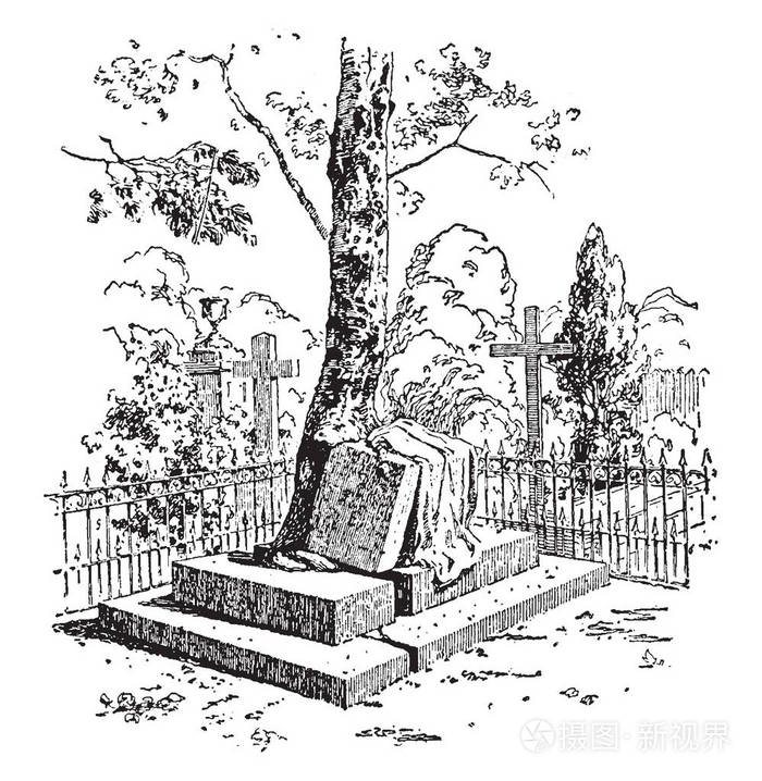 一个巨大的墓碑被树根的生长破坏, 老式的线条画或雕刻插图