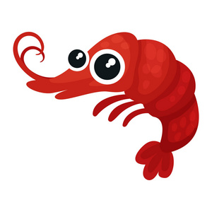 大眼睛的孩子可爱的红虾, 眼睛大闪闪发亮.小型海洋生物.海上生活.