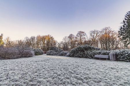 公园在冬天与木长凳和霜冻在植物和树在早晨