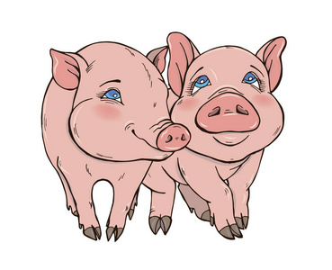 两个猪接触两个可爱的滑稽猪矢量插图白色背景, 猪是2019年的象征照片