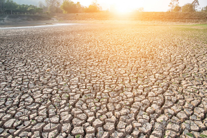 破解地球,干旱,干涸的土地,干树,干河坝