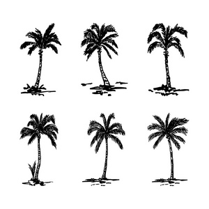 手绘棕榈树组