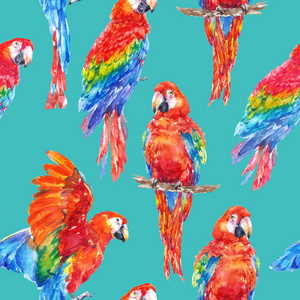 七彩鹦鹉热带鸟水彩插图无缝背景