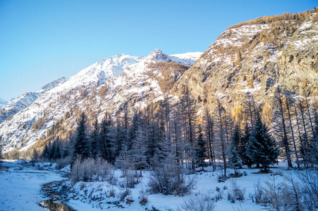 在雪地里山风景