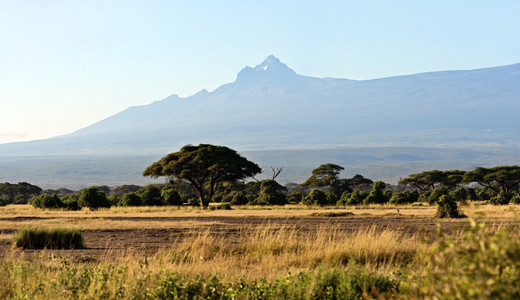 在肯尼亚的非洲大草原