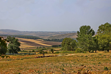 阿塞拜疆 Kakhsky 地区的山地景观