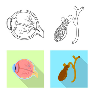 物体和人体图标的孤立对象。网络身体和医疗股票符号的收集