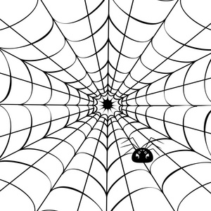 装饰蜘蛛网与可爱的卡通蜘蛛插图照片